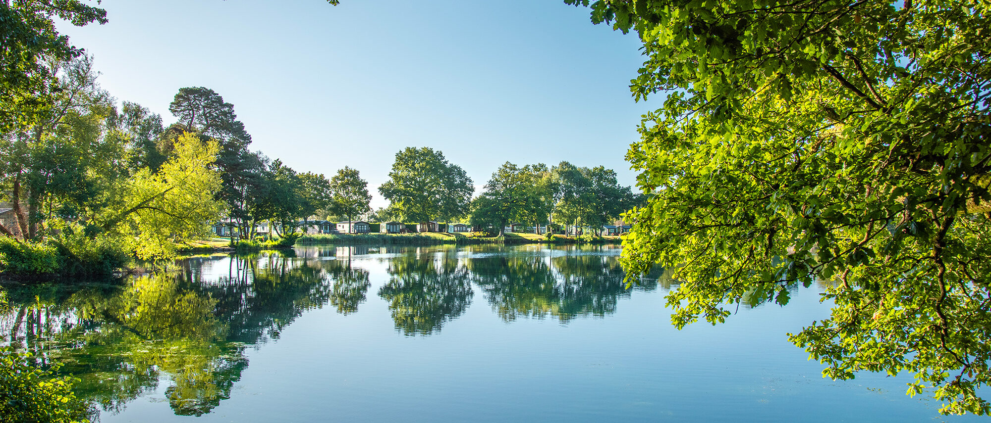 DMC1813-aspect-ratio-2000-855