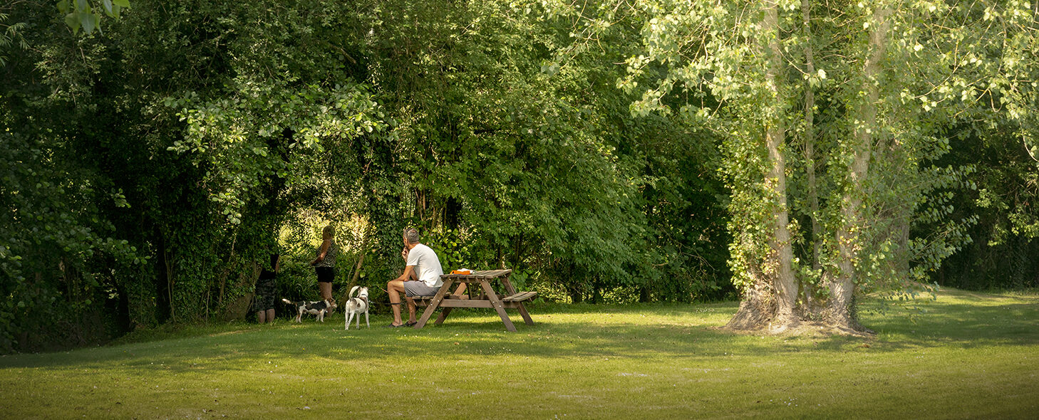 ROB5039-aspect-ratio-1458-590