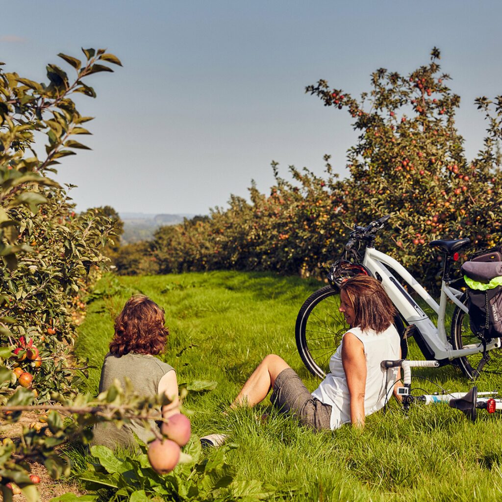 Two cyclists taking a break in a Herefordshire cider apple orchard