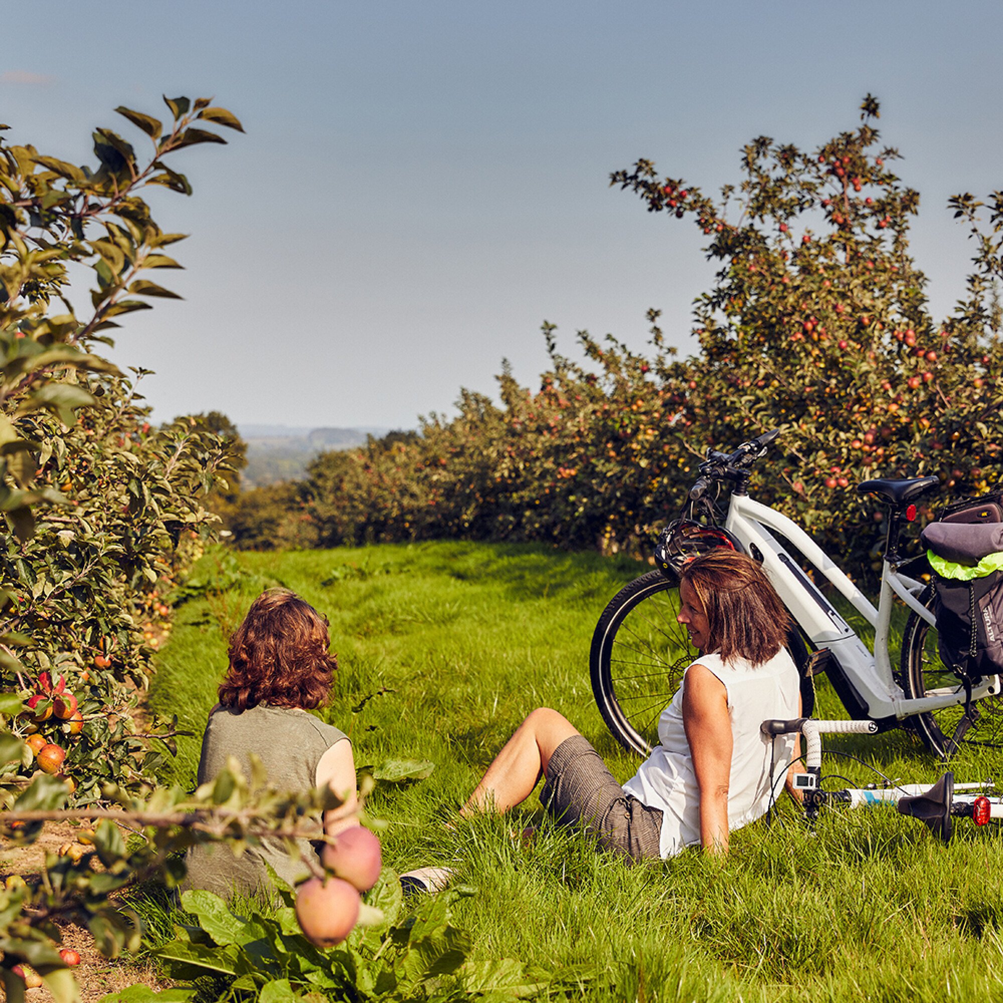 Two cyclists taking a break in a Herefordshire cider apple orchard