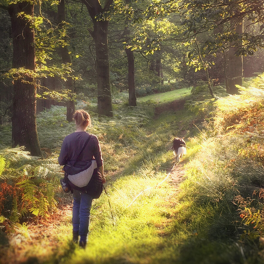 IMG-5186-aspect-ratio-1-1