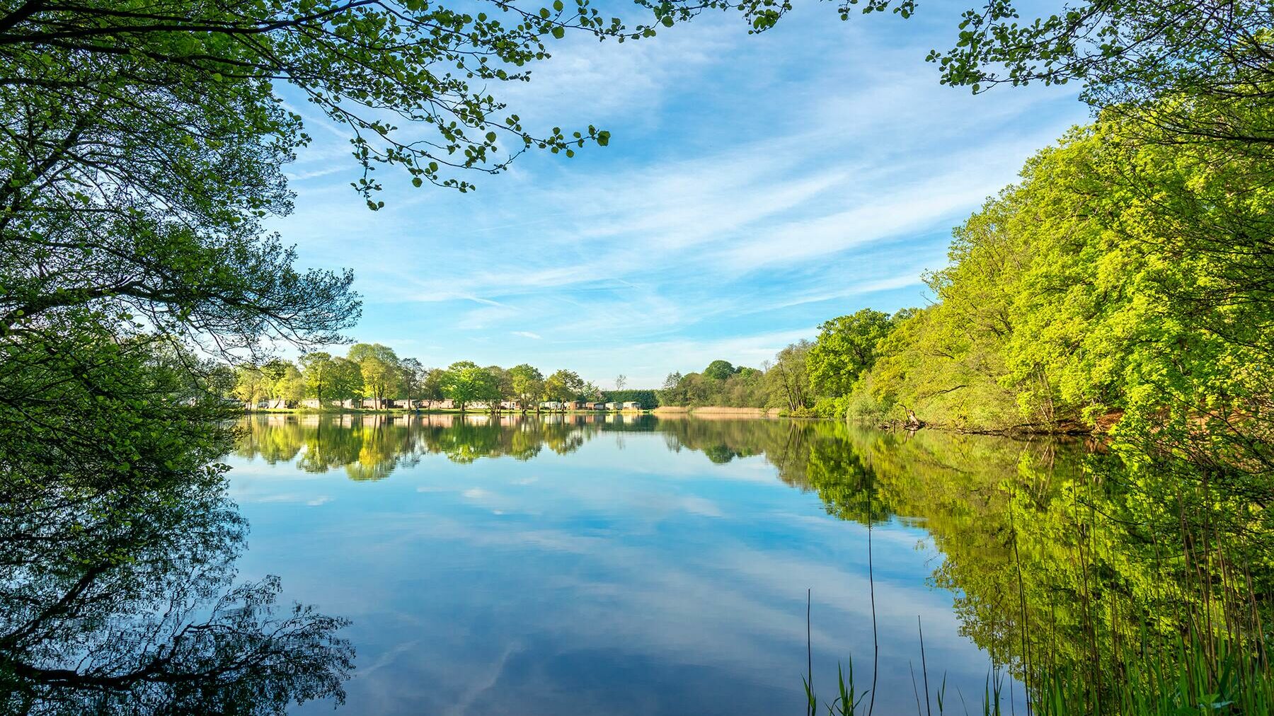 Sunny Morning over Lake - Discover Parks - Pearl Lake