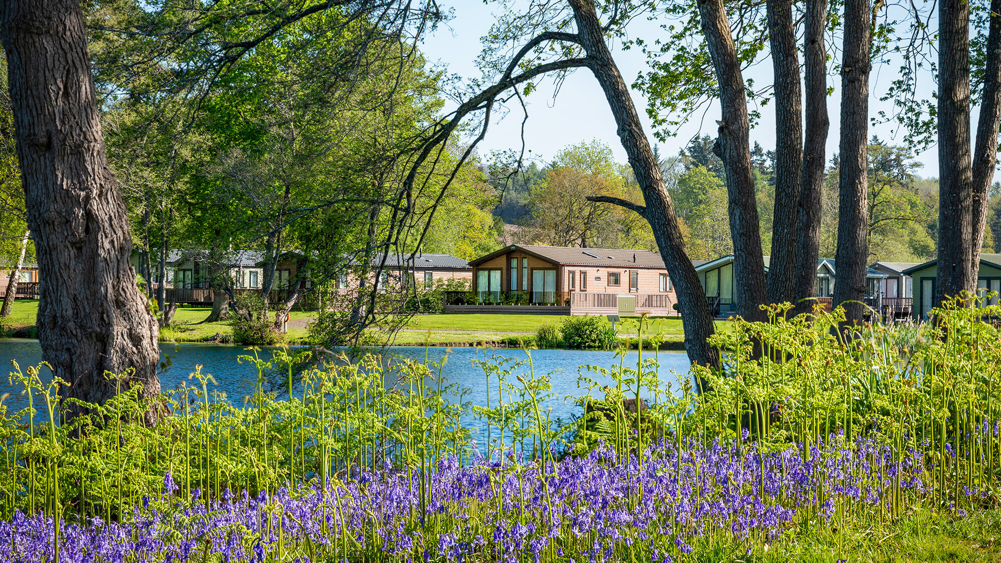 Row of holiday lodges along the banks of Pearl Lake, Shobdon, Herefordshire