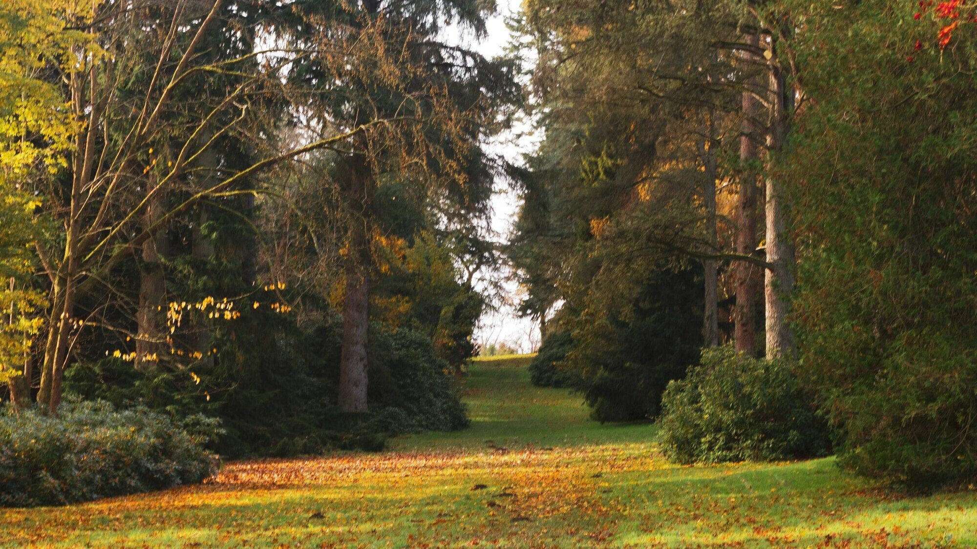 Kington Recreation Ground